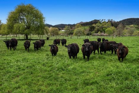 Photo of property in 125b Paul Road, Te Teko, Whakatane, 3192