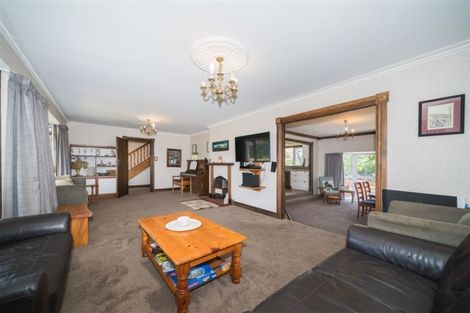 Photo of property in 63 Dittmer Drive, Awapuni, Palmerston North, 4412