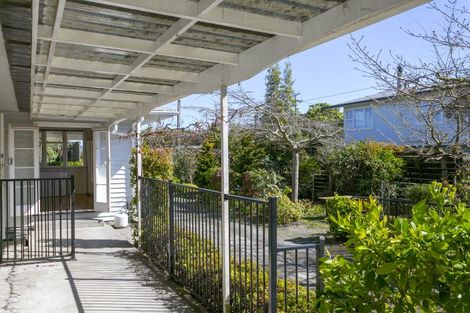 Photo of property in 42 Kaka Street, Taupo, 3330