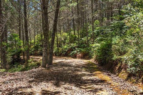 Photo of property in 264 Taylor Road, Taipa, Kaitaia, 0483