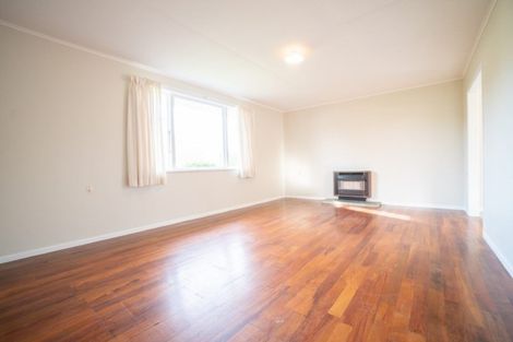 Photo of property in 3 Patea Place, Terrace End, Palmerston North, 4410