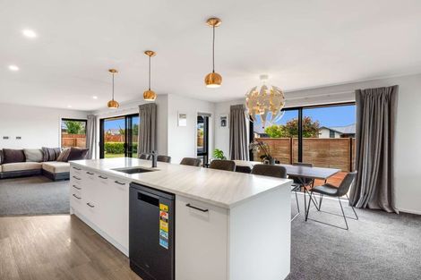 Photo of property in 18 Amur Crescent, Rolleston, 7615