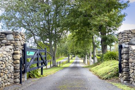 Photo of property in 20 Amber Lane, Karapiro, Cambridge, 3494
