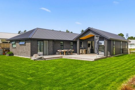 Photo of property in 7 Neinei Place, Wharewaka, 3330