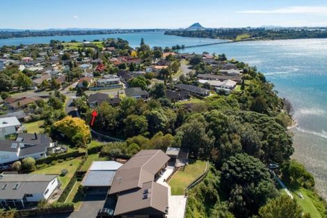 Photo of property in 67 Te Hono Street, Maungatapu, Tauranga, 3112
