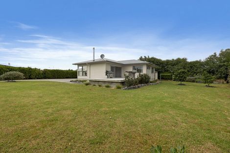 Photo of property in 135 Mangawhai Heads Road, Mangawhai Heads, Kaiwaka, 0573
