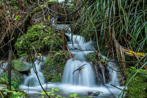 Photo of property in 165 Boons Valley Road, Waikawa, Picton, 7220