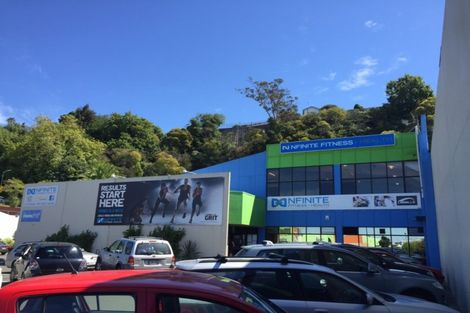 Photo of property in 17a Carlyle Street, North East Valley, Dunedin, 9010