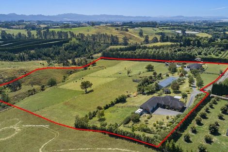 Photo of property in 416a Youngson Road, Whakamarama, Tauranga, 3179