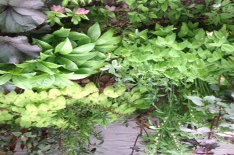 Photo of property in 13 Shannon Street, Alexandra, 9320