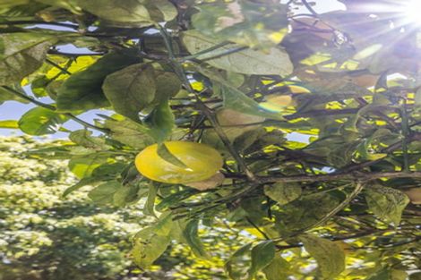 Photo of property in 10 Hiropi Street, Newtown, Wellington, 6021