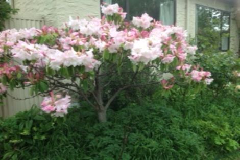 Photo of property in 13 Shannon Street, Alexandra, 9320