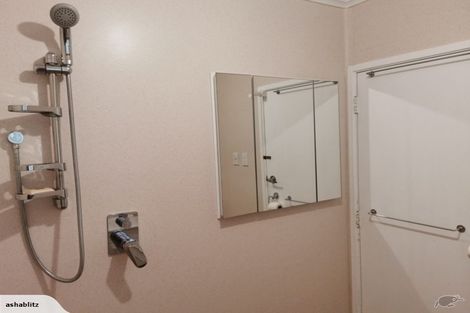 Photo of property in 41 Cook Street, Gate Pa, Tauranga, 3112