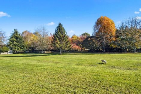 Photo of property in 50c Cedar Park Road, Tamahere, Hamilton, 3283