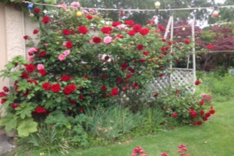 Photo of property in 13 Shannon Street, Alexandra, 9320