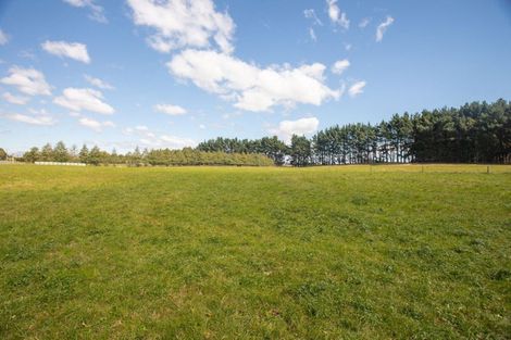 Photo of property in 185 Umutaoroa Road, Dannevirke, 4978