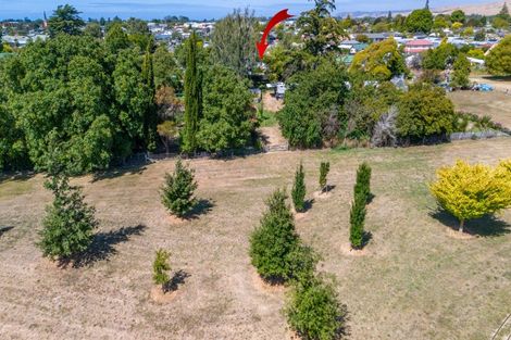 Photo of property in 26 Lee Street, Blenheim, 7201