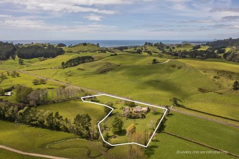 Photo of property in 131 Trig Road, Waihi, 3681