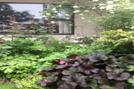 Photo of property in 13 Shannon Street, Alexandra, 9320