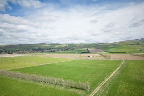 Photo of property in 51 Duncan Road, Ettrick, Roxburgh, 9572