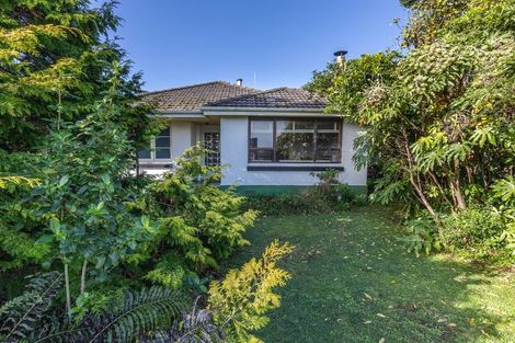 Photo of property in 113 Main South Road, Karoro, Greymouth, 7805