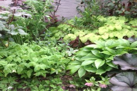 Photo of property in 13 Shannon Street, Alexandra, 9320