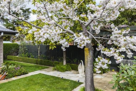 Photo of property in 43 Marble Wood Drive, Papanui, Christchurch, 8053