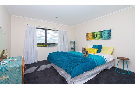 Photo of property in 875 Awhitu Road, Pollok, Waiuku, 2683