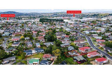 Photo of property in 31 John Davis Road, Mount Roskill, Auckland, 1041