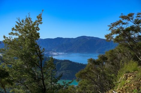 Photo of property in 2464 Port Underwood Road, Port Underwood, Picton, 7281