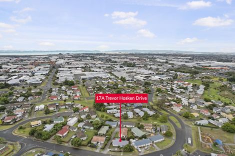 Photo of property in 17a Trevor Hosken Drive, Wiri, Auckland, 2104