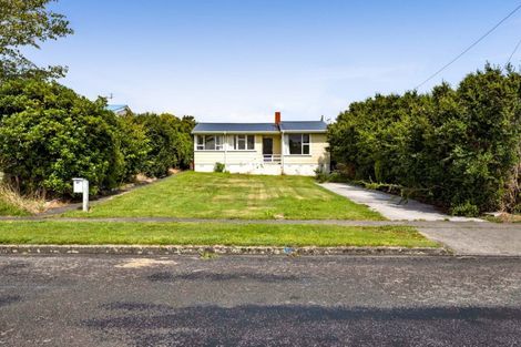 Photo of property in 97 Brecon Road, Stratford, 4332