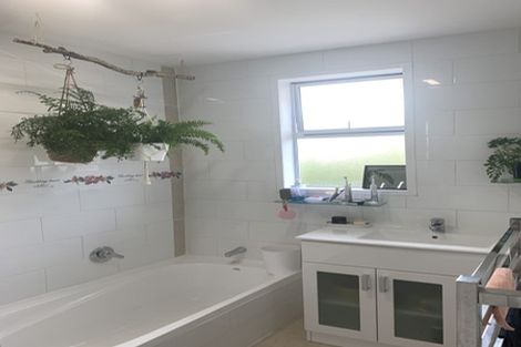 Photo of property in 127 Belford Street, Waverley, Dunedin, 9013