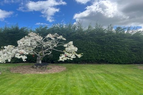 Photo of property in 142 George Ward Road, Pareora West, Timaru, 7972