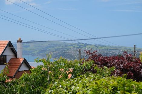 Photo of property in 8a Sheen Street, Roslyn, Dunedin, 9010