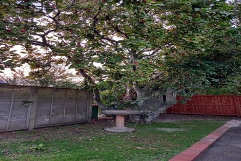 Photo of property in 20a Peachgrove Road, Hamilton East, Hamilton, 3216