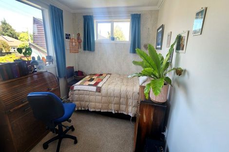 Photo of property in 17 Signal Hill Road, Opoho, Dunedin, 9010