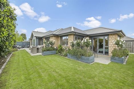 Photo of property in 3 Charlie Stanton Place, Shirley, Christchurch, 8052