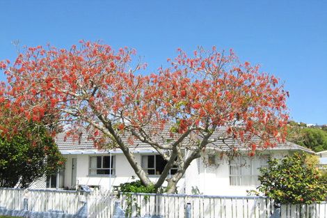 Photo of property in 31 Anglia Street, Wakatu, Nelson, 7011