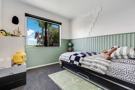 Photo of property in 341a Ostrich Farm Road, Pukekohe, 2679