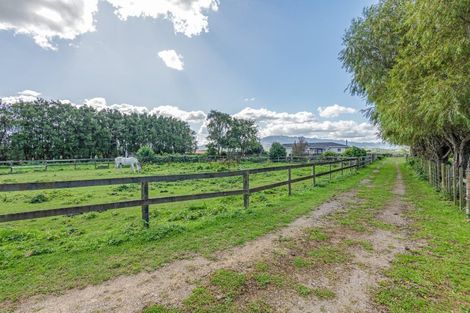 Photo of property in 63 Sowry Road, Woodville, 4920