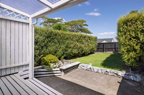 Photo of property in 11a Dunkirk Street, Gate Pa, Tauranga, 3112