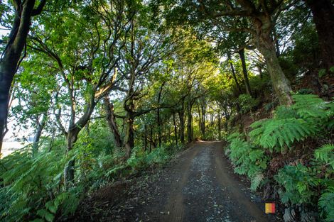 Photo of property in 166b Heard Road, Waihi, 3681