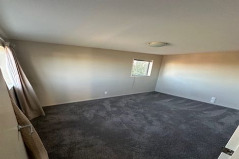 Photo of property in 145 Purchas Street, Edgeware, Christchurch, 8013