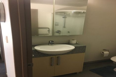 Photo of property in Dual Apartments, 108/142 Vivian Street, Te Aro, Wellington, 6011