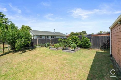 Photo of property in 120 Links Avenue, Mount Maunganui, 3116
