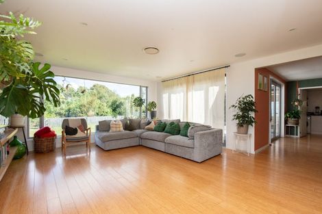 Photo of property in 30 Orchard East Road, Ngatea, 3503