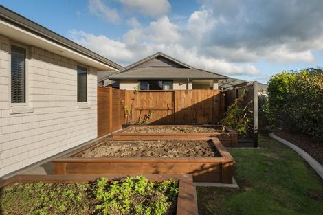 Photo of property in 15 Layla Place, Katikati, 3178
