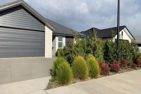 Photo of property in 93 Berryfield Drive, Appleby, Richmond, 7020