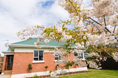 Photo of property in 29 Huntly Road, Outram, 9019